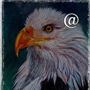 Meet your Posher, Terri